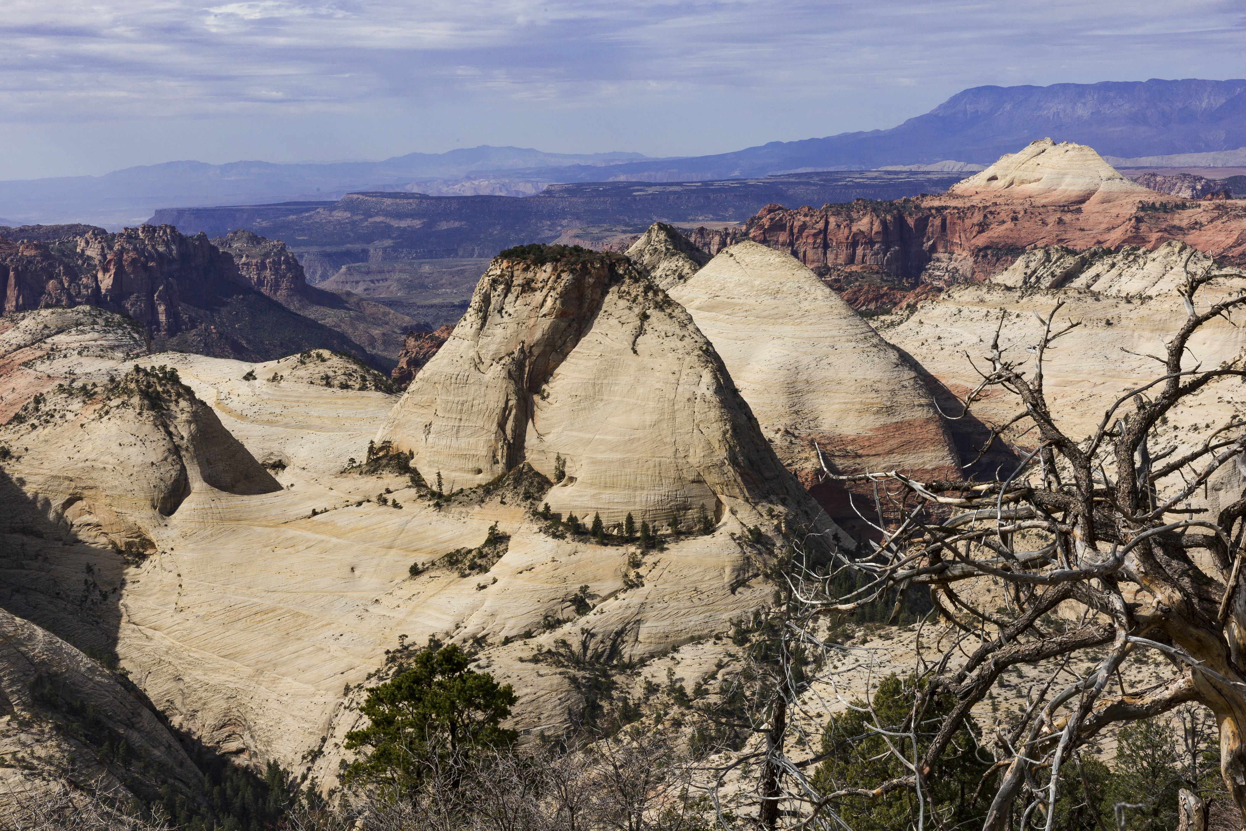 West Rim Trail, Utah